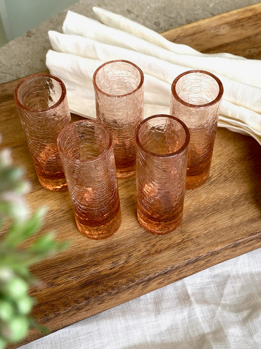 5 st shotglas rosa